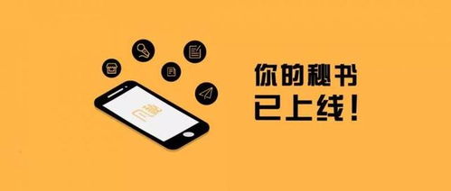 群雄逐鹿的社交电商，凡秘异军突起的秘密 寄卖服务的成功实践